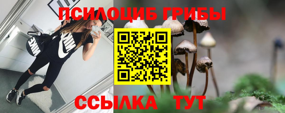Галлюциногенные грибы Psilocybine cubensis  Вход с VPN  Майкоп 